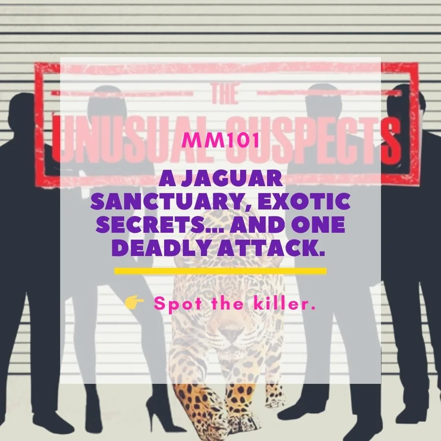 The Unusual Suspects printable murder mystery game cover